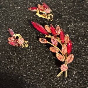 Elegant Pink and Red Crystal Brooch and Earring Set